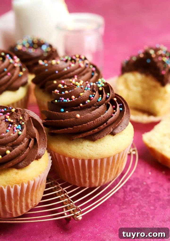 Classic Vanilla Cupcakes Topped with Decadent Chocolate Frosting 5 best vanilla cupcakes with chocolate frosting
