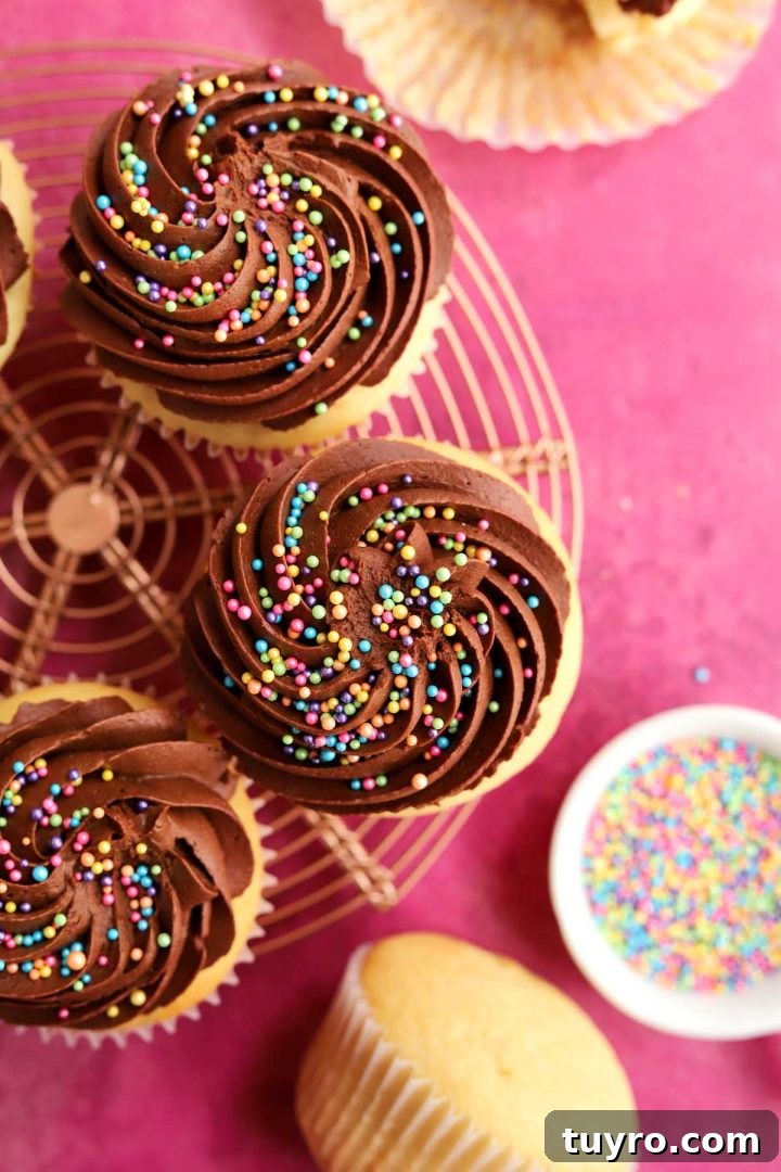 Classic Vanilla Cupcakes Topped with Decadent Chocolate Frosting 6 best vanilla cupcakes with chocolate frosting