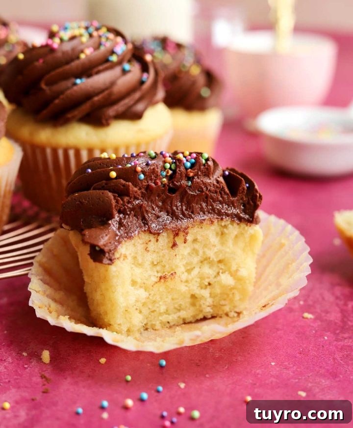 Classic Vanilla Cupcakes Topped with Decadent Chocolate Frosting 7 best vanilla cupcakes crumb texture with bite