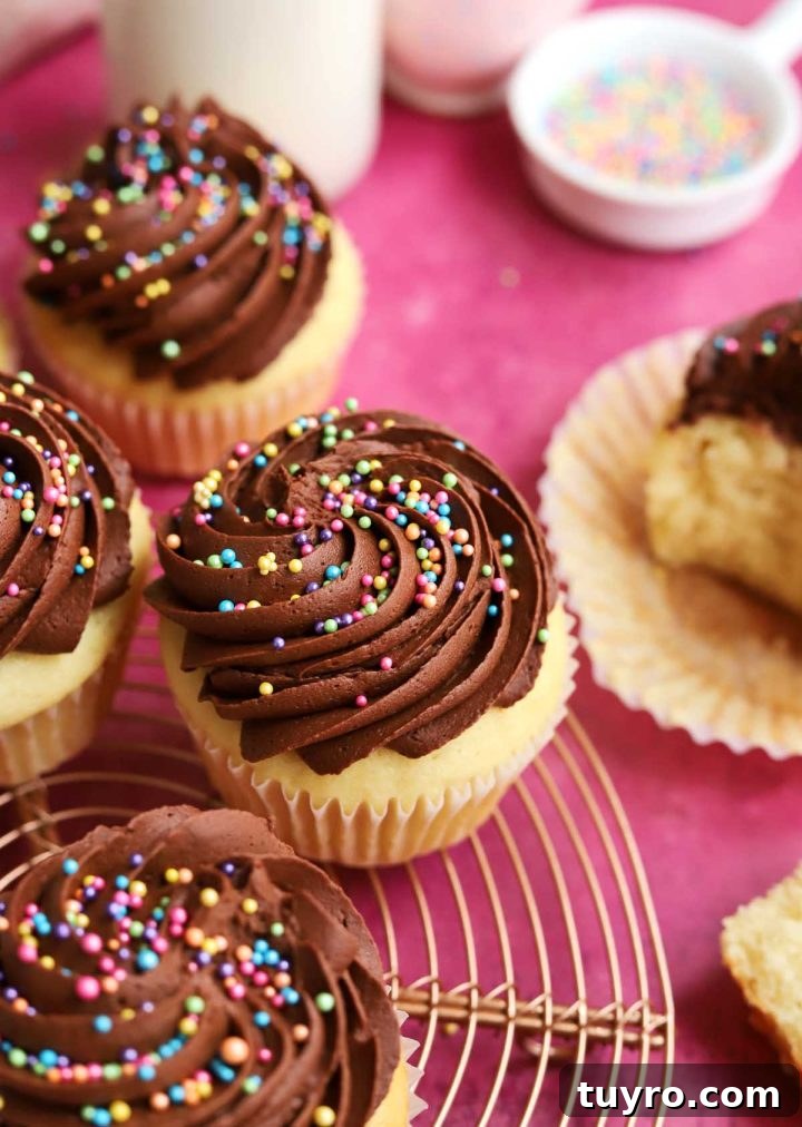 Classic Vanilla Cupcakes Topped with Decadent Chocolate Frosting 8 best vanilla cupcakes with chocolate frosting