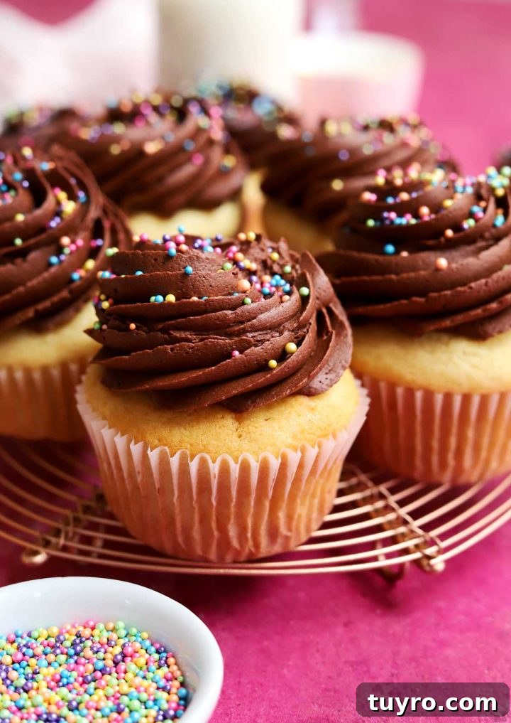 Classic Vanilla Cupcakes Topped with Decadent Chocolate Frosting 9 best vanilla cupcakes with chocolate frosting