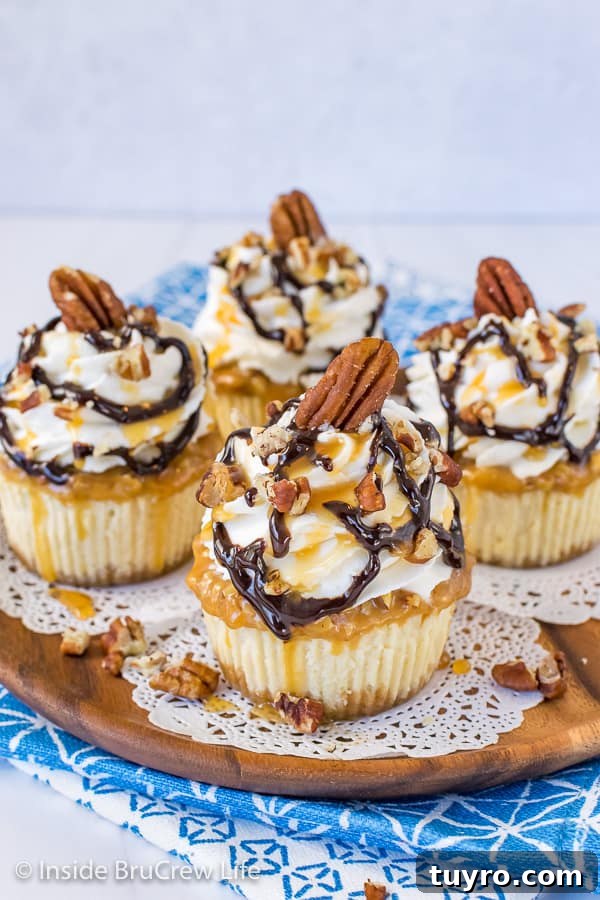 Mini Turtle Cheesecakes A picture looking down on the top of mini turtle cheesecakes with caramel and chocolate drizzles on top
