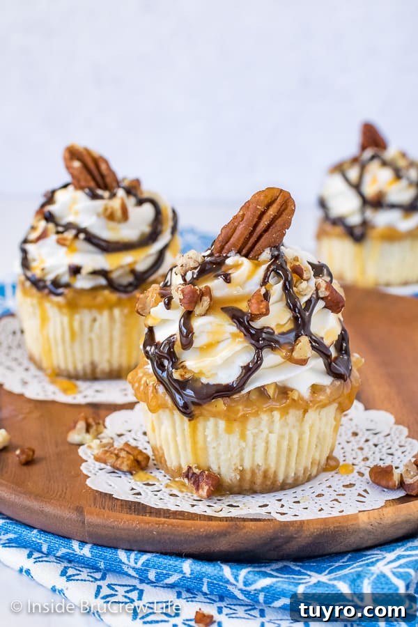 Mini Turtle Cheesecakes Two mini turtle cheesecakes topped with whipped cream and caramel and chocolate drizzles on a brown plate