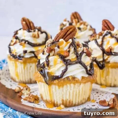 Mini Turtle Cheesecakes