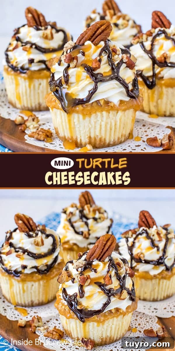 Mini Turtle Cheesecakes collage Two pictures of mini turtle cheesecakes collaged together with a brown text box