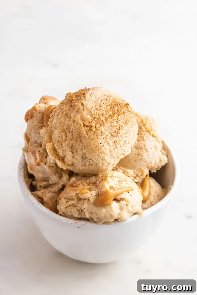 Creamy Banana Ice Cream Recipe 2 Photo of a bowl with 2 scoops of banana ice cream