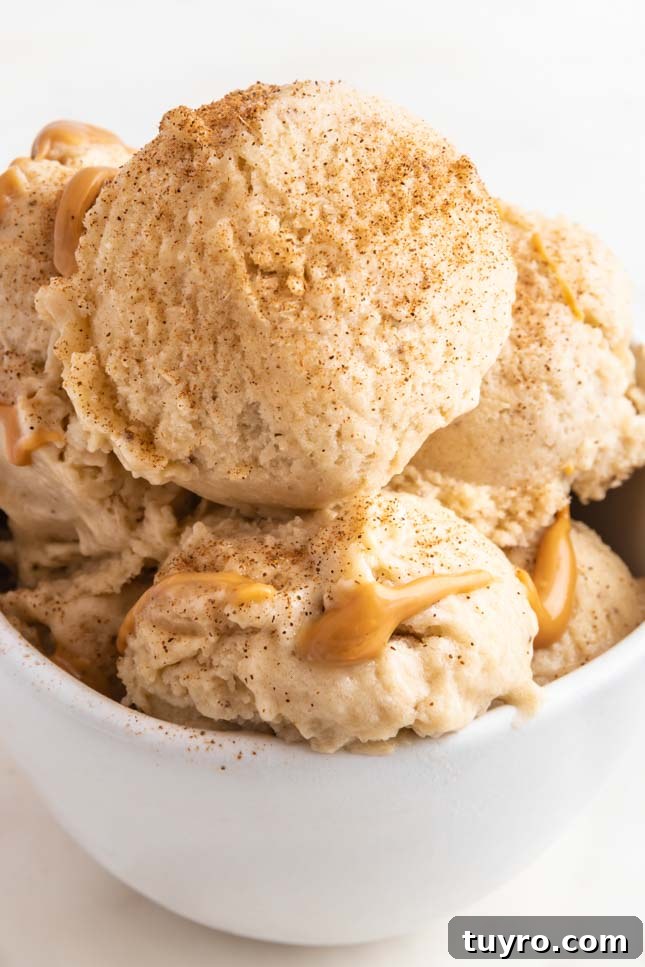 Creamy Banana Ice Cream Recipe 4 Close-up shot of a bowl with 2 scoops of banana ice cream