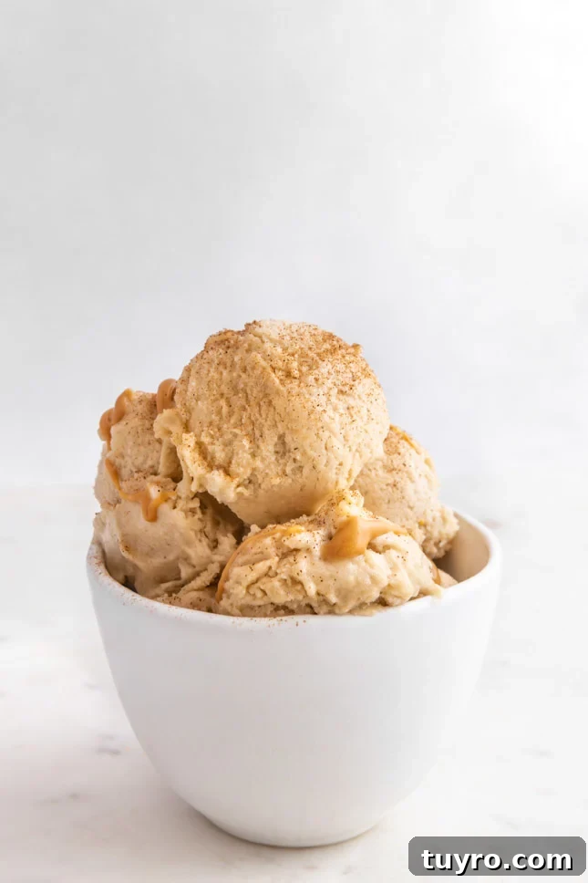 Creamy Banana Ice Cream Recipe 5 Side shot of a bowl of banana ice cream