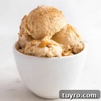 Creamy Banana Ice Cream Recipe 6 Square photo of a bowl with 2 scoops of banana ice cream