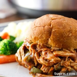Pressure Cooker Pulled Chicken Recipe
