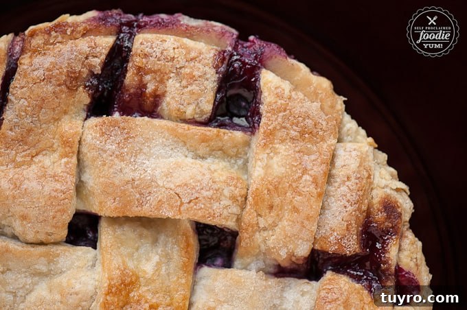 Fresh Summer Berry Pie Recipe 5 looking down at a summer berry pie with a lattice crust