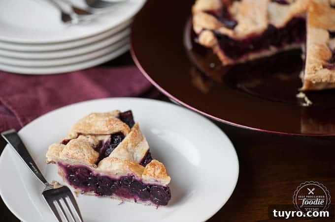 Fresh Summer Berry Pie Recipe 6 A piece of homemade berry pie on a white plate