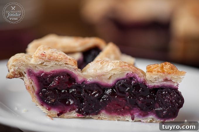 Fresh Summer Berry Pie Recipe 7 A close up of a piece of summer berry pie