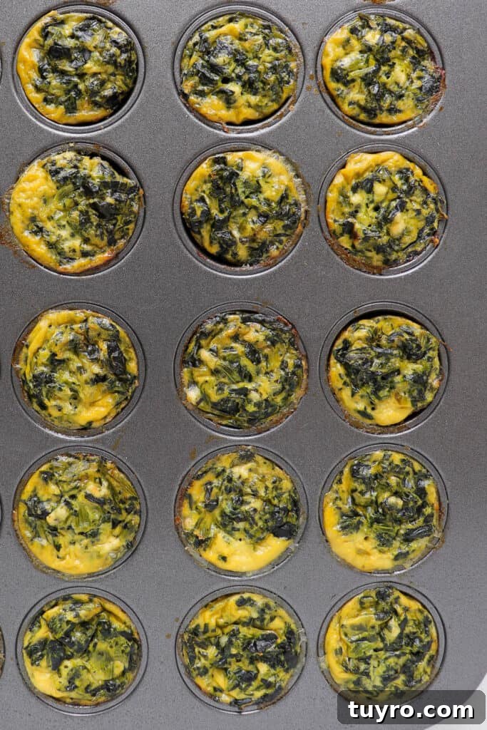 Baked quiches in muffin tin.