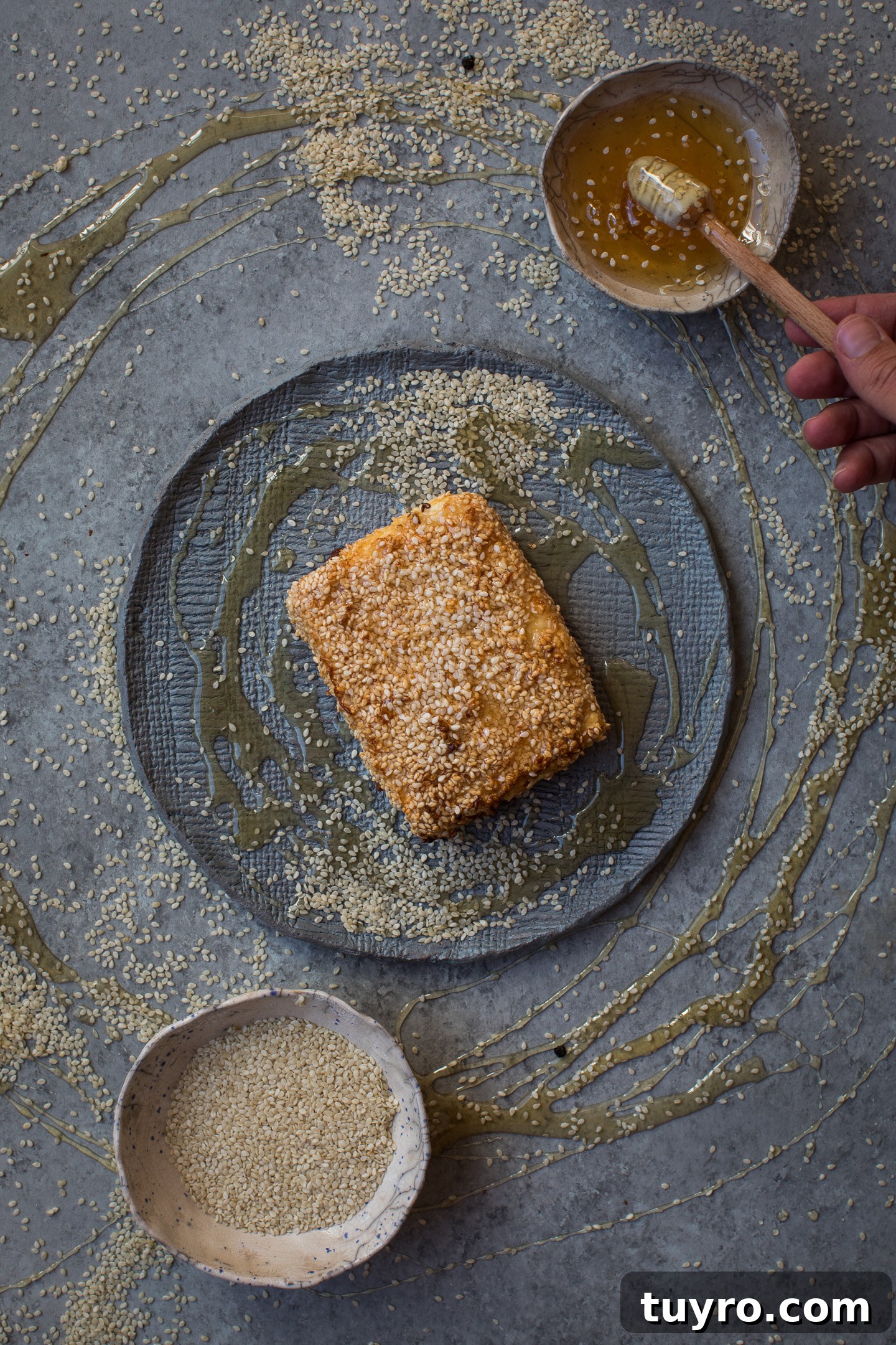 Sesame-Crusted Baked Feta with Honey Drizzle 3 img 3751 2
