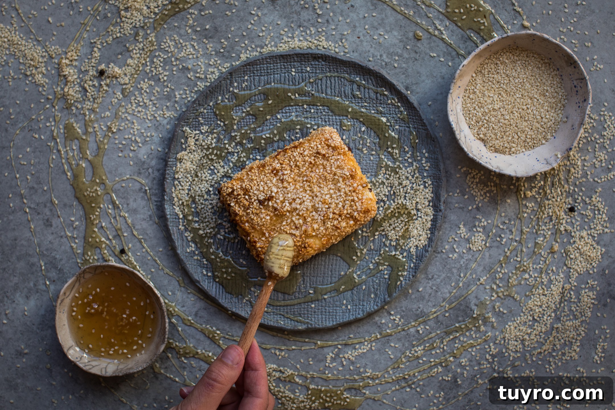 Sesame-Crusted Baked Feta with Honey Drizzle 5 img 3751 4