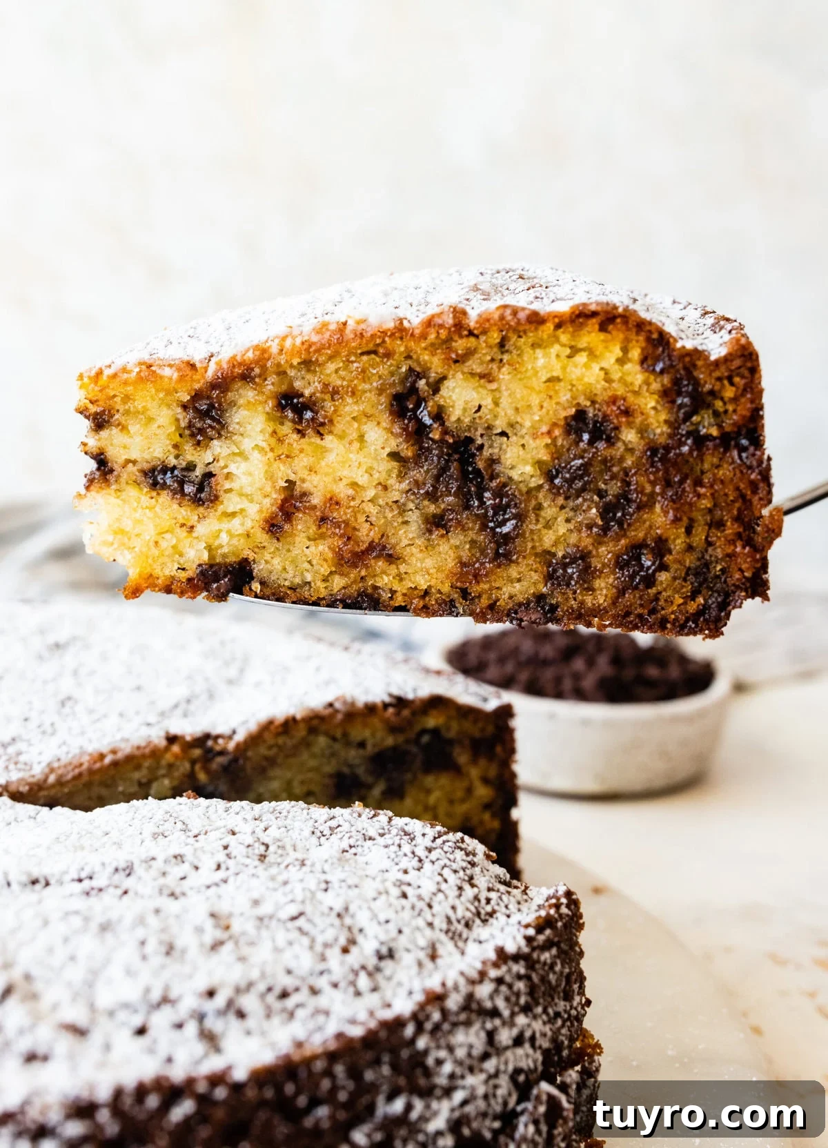 Classic Italian Chocolate Chip Ricotta Cake Recipe 2 cake server holding a thick slice of the chocolate chip ricotta cake. The chocolate chips are visible.