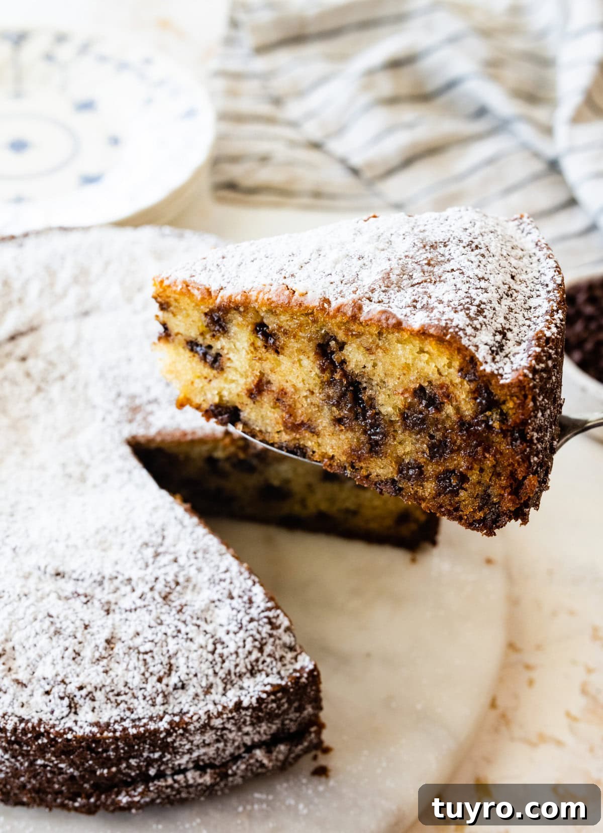 Classic Italian Chocolate Chip Ricotta Cake Recipe 7 cake server holding a thick slice of the chocolate chip ricotta cake. The chocolate chips are visible.
