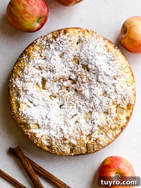 Italian Apple Cake close up of the cake with powdered sugar