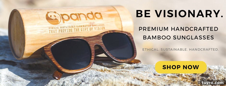 Image shows a pair of bamboo sunglasses on a rock with a protective tube behind it. Text reads "Be Visionary. Premium Handcrafted Bamboo Sunglasses"