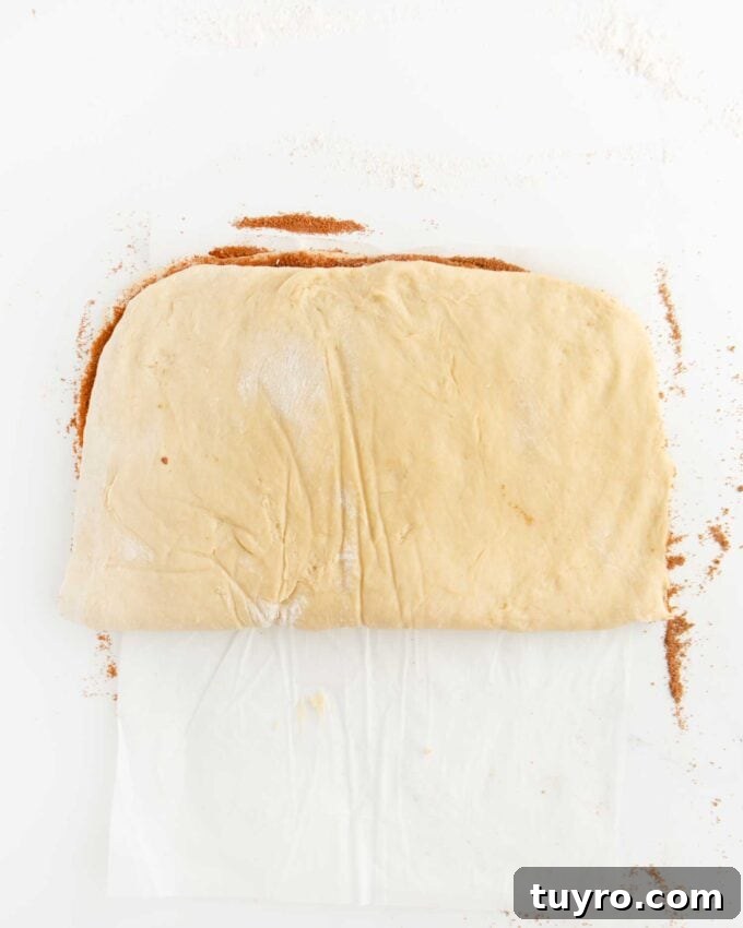 cinnamon roll dough folded in half