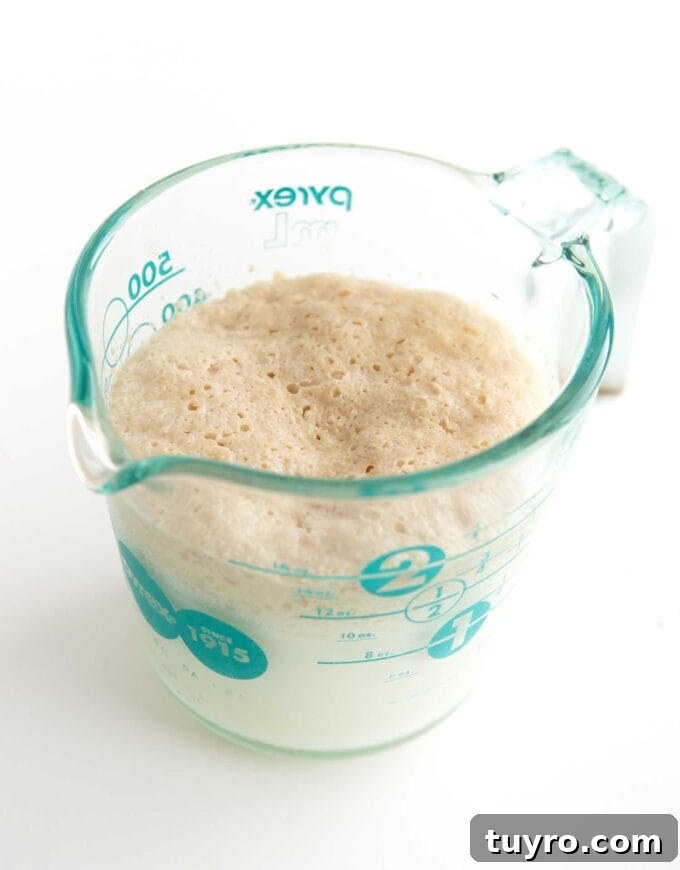 glass measuring cup with bloomed yeast