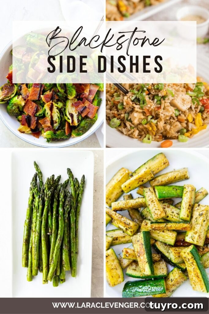 Blackstone Side Dishes for Griddle Meals 2 pinterest image for blackstone side dishes with vegetables and rice
