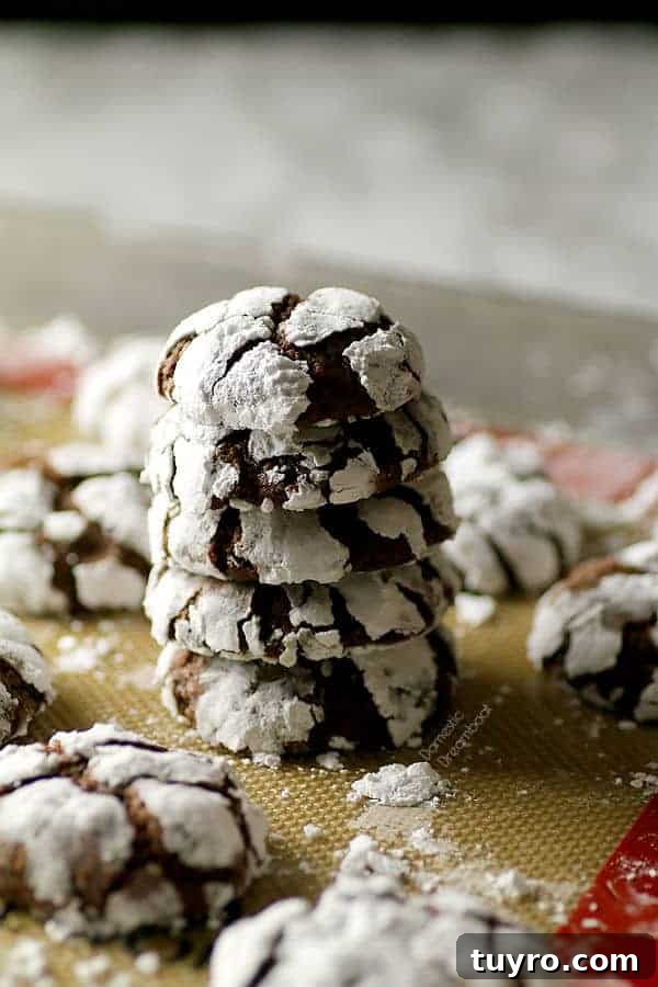 Homemade Eatmore Bars Recipe: Salted Chocolate-Caramel Squares 7 Chocolate Crinkle Cookies - Domestic Dreamboat #cookies #christmas #chocolate