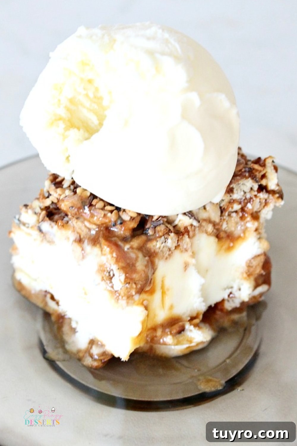 Crunchy Sweet & Salty Ice Cream Sandwich Recipe 5 Vanilla ice cream sandwich
