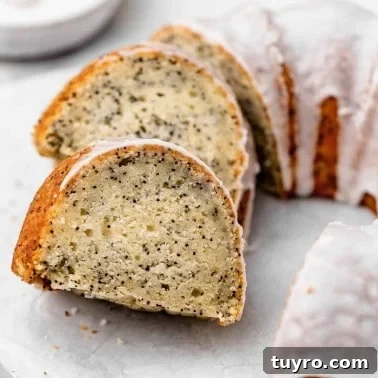 Moist Carrot Cake Recipe with Cream Cheese Frosting 24 Lemon Poppy Seed Cake