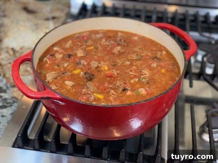Texas-Style Super Bowl Chili Recipe: Bold Flavors for Game Day 5 img 42034 4