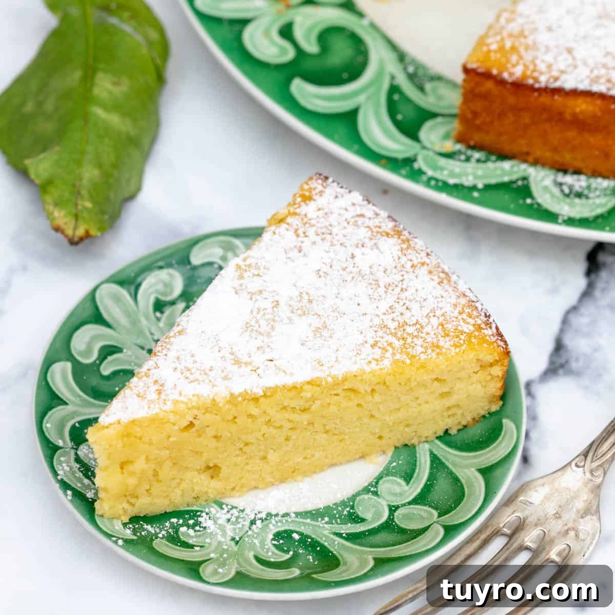 Moist Apple Almond Cake Recipe with Cinnamon 12 small slice of lemon ricotta cake