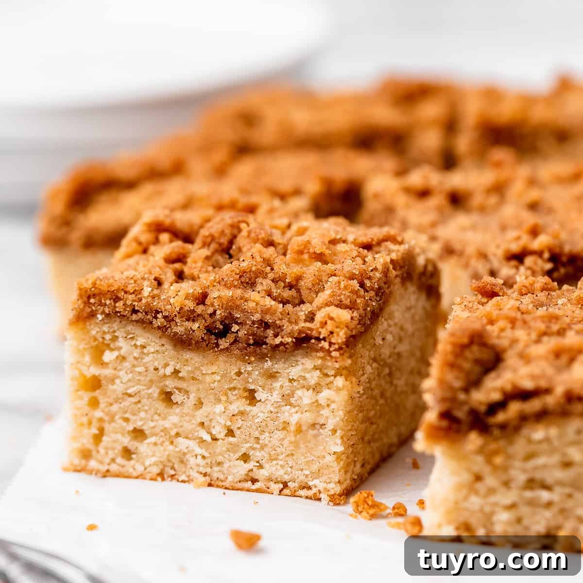 a piece of Cinnamon Coffee Cake surrounded by the rest of the cake