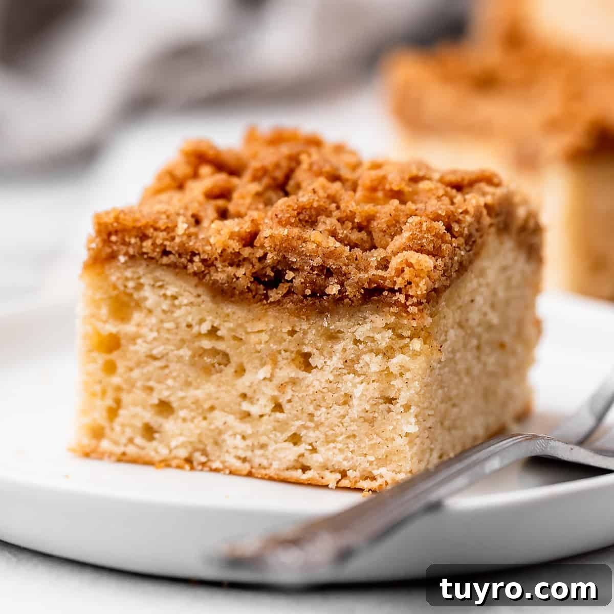 a piece of Cinnamon Coffee Cake on a plate