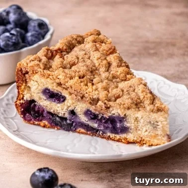 Blueberry Coffee Cake