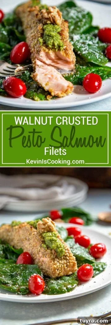 Pesto-Crusted Salmon with Walnut Crunch 3 With fresh, chopped walnuts used as a crust on salmon filets, this Walnut Crusted Pesto Salmon gets lots of flavor from pesto also made with walnuts instead of pine nuts. Tender and flakey, this salmon is baked, quick and on the table in under 30 minutes. #spon @CAWalnuts #salmon #pesto #TeamGoodFat