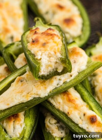 Close up of a Jalapeno Popper, showing the inside filling.