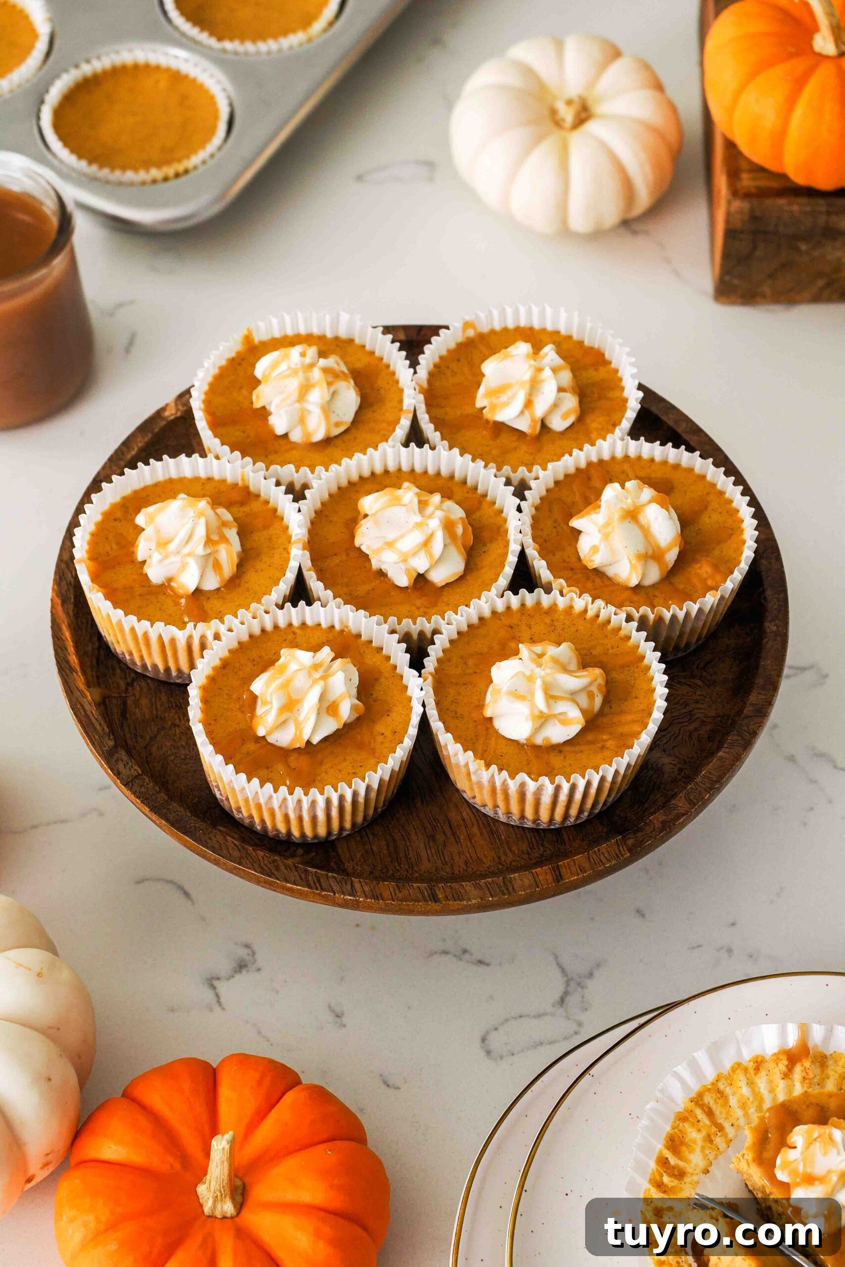 Mini Pumpkin Cheesecake Bites with Spiced Gingersnap Crust 2 Mini pumpkin cheesecakes on a wooden cake stand.