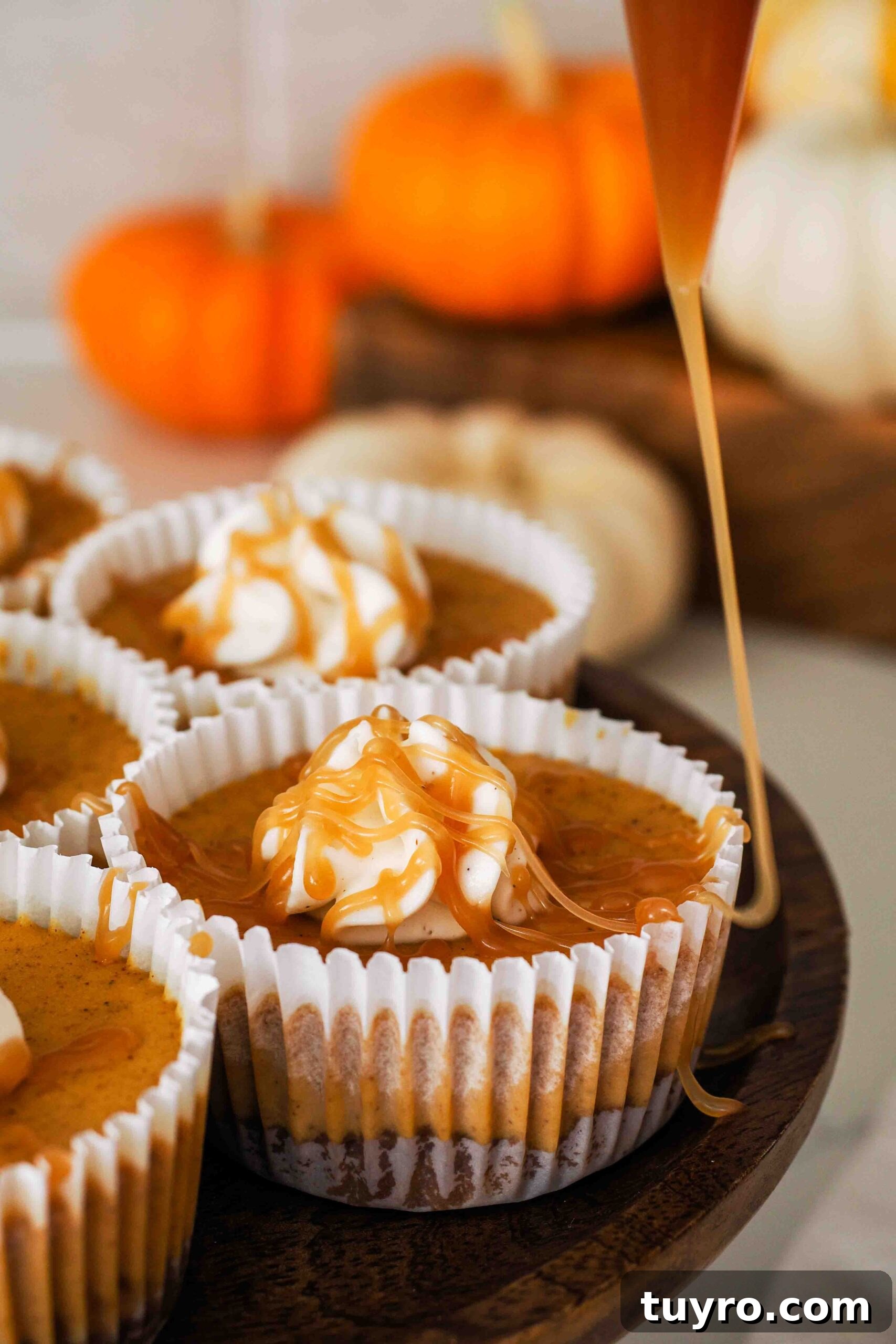 Mini Pumpkin Cheesecake Bites with Spiced Gingersnap Crust 15 Caramel is drizzled over a mini pumpkin cheesecake.