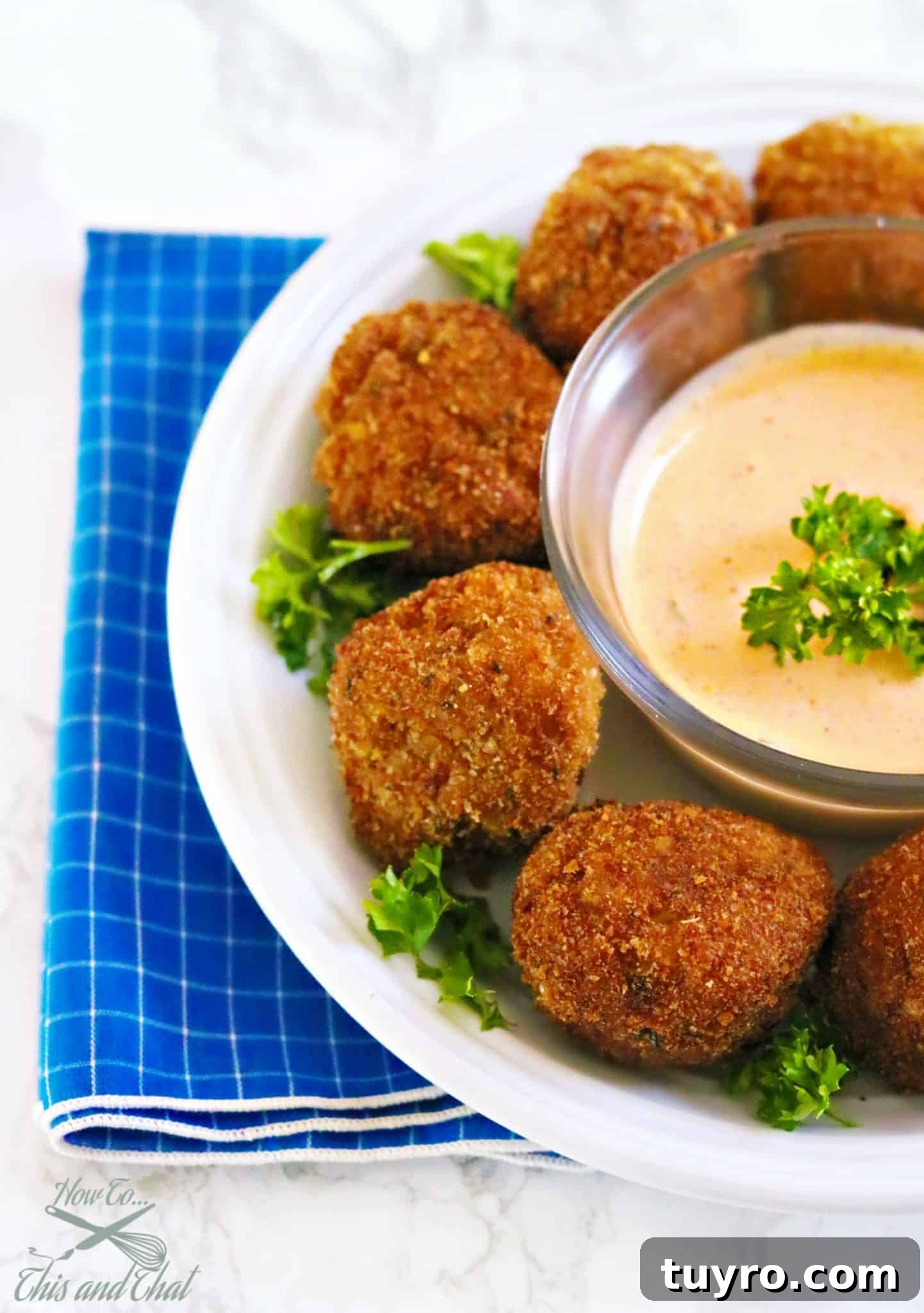 easy bite size crab cake appetizer recipe easy bite size crab cake appetizer recipe.
