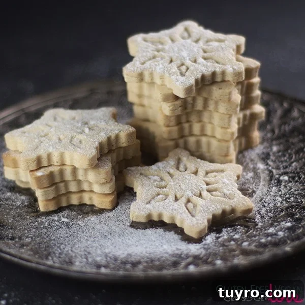 Gluten-Free Vegan Vanilla Cutout Cookies Recipe 2 Gluten-Free Vegan Vanilla Cut-Out Cookies Recipe {Refined Sugar-Free}