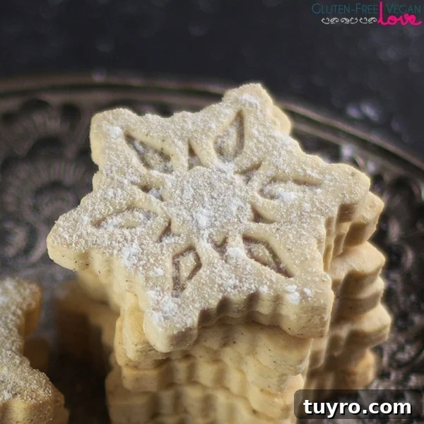 Gluten-Free Vegan Vanilla Cutout Cookies Recipe 3 Gluten-Free Vegan Vanilla Cut-Out Cookies Recipe {Refined Sugar-Free}