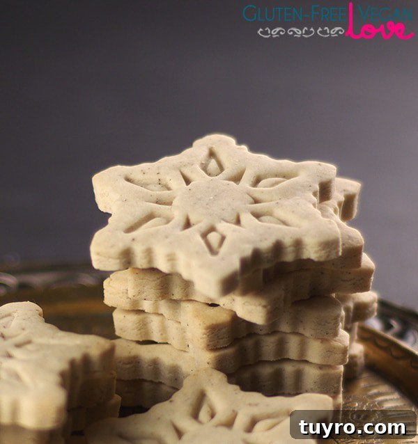 Gluten-Free Vegan Vanilla Cutout Cookies Recipe 5 Gluten-Free Vegan Vanilla Cut-Out Cookies Recipe {Refined Sugar-Free}