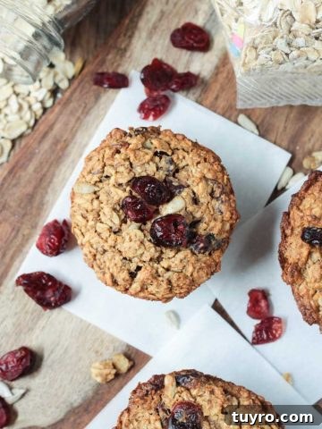 Cranberry Baked Oatmeal Muffins