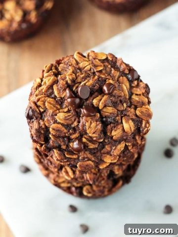 Gingerbread Chocolate Chip Baked Oatmeal Bites