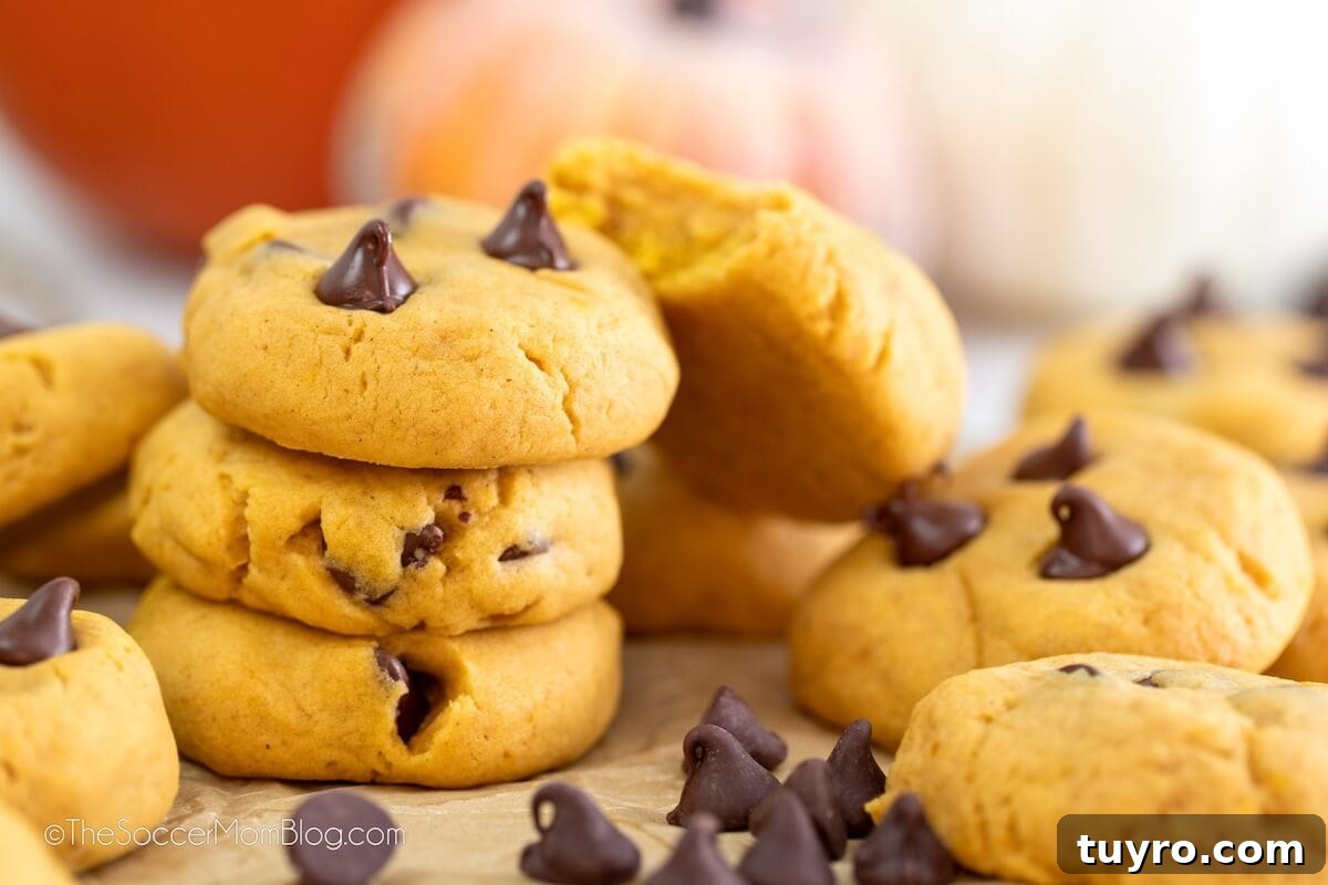 Pumpkin Chocolate Chip Cookies Recipe for Soft, Chewy Treats 3 pumpkin chocolate chip cookies piled on countertop.