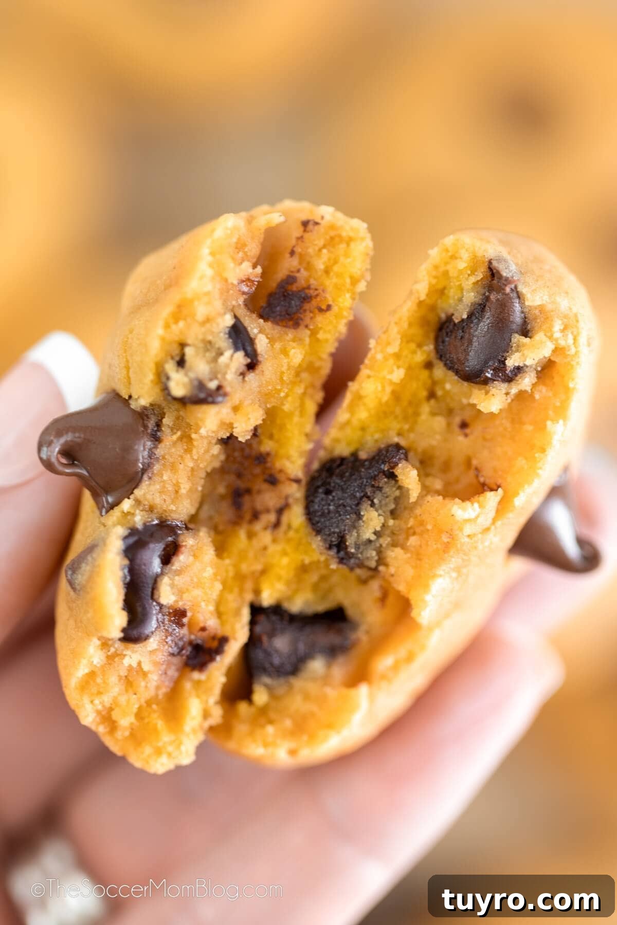 Pumpkin Chocolate Chip Cookies Recipe for Soft, Chewy Treats 4 a pumpkin chocolate chip cookie, cut in half to show detail.