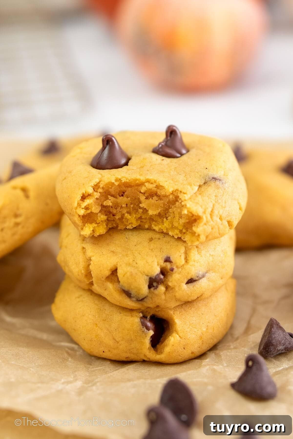 Pumpkin Chocolate Chip Cookies Recipe for Soft, Chewy Treats 6 pumpkin chocolate chip cookies, one with bite taken.