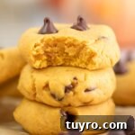 stack of 3 pumpkin chocolate chip cookies, top one with bite taken.