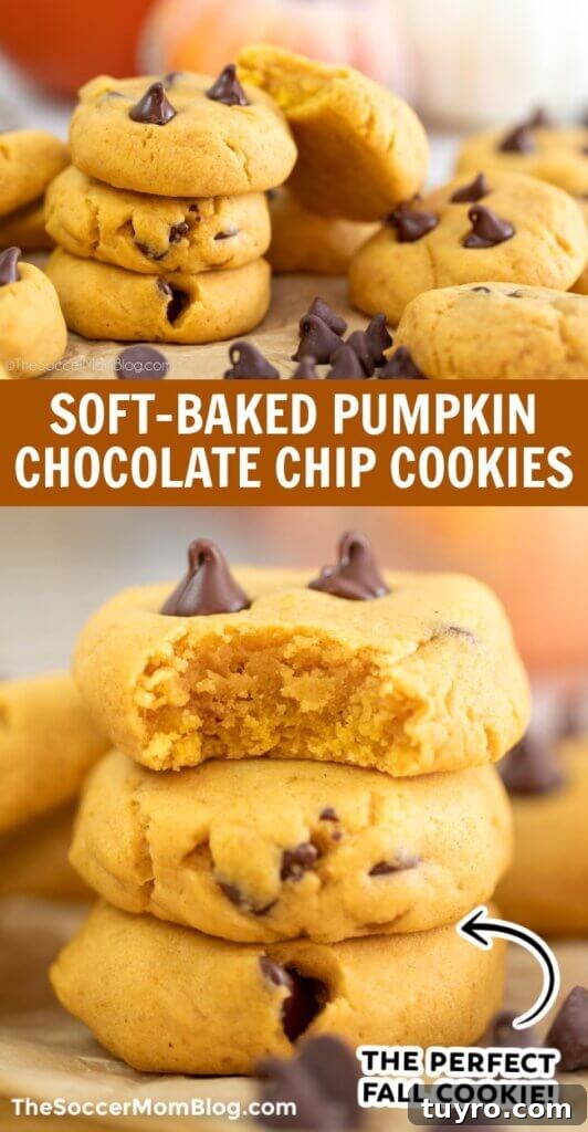 Pumpkin Chocolate Chip Cookies Recipe for Soft, Chewy Treats 8 Soft-Baked Pumpkin Chocolate Chip Cookies Pinterest Image.